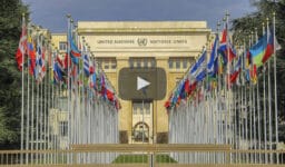 Video: Anna Bacchia alle Nazioni Unite