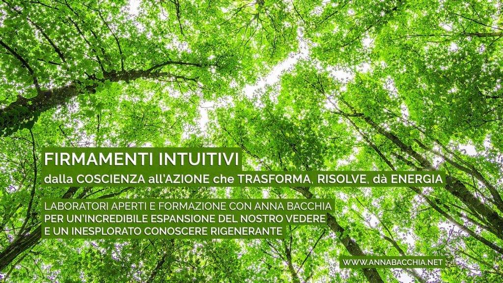 FIRMAMENTI INTUITIVI
dalla Coscienza all'Azione che risolve, rigenera, dà Energia. Laboratori aperti e Formazione con Anna Bacchia, per un'incredibile espansione del nostro Vedere, e un inesplorato conoscere rigenerante.